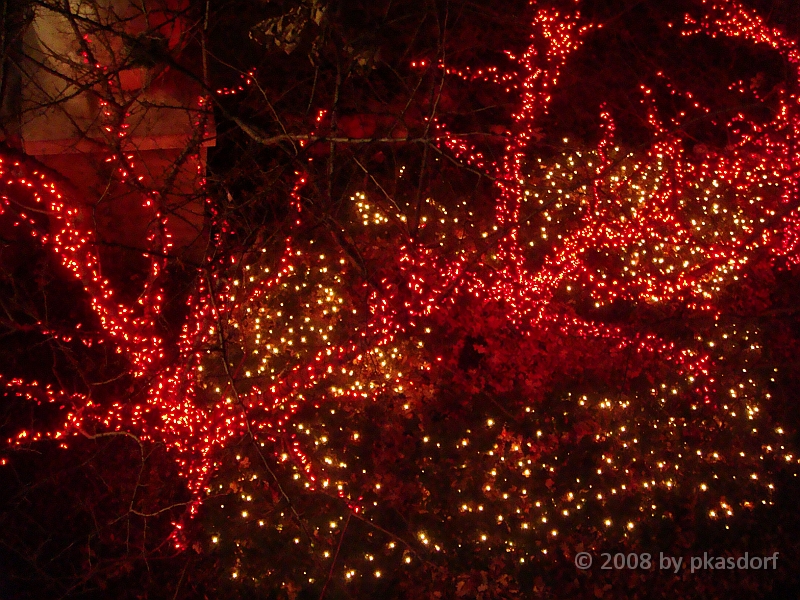 022 Toledo Zoo Light Show [2008 Dec 27].JPG - Scenes from the Toledo Zoo Light Show.